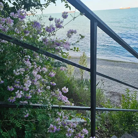Viamo Βάρνα